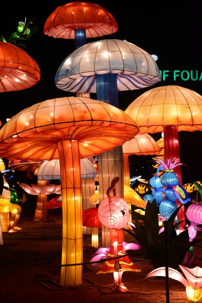 WONDERLAND A magical city of lights